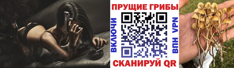 Галлюциногенные грибы прущие грибы  что такое   Никольск 